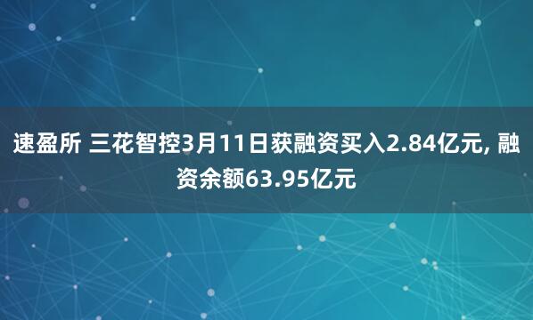 速盈所 三花智控3月11日获融资买入2.84亿元, 融资余额63.95亿元