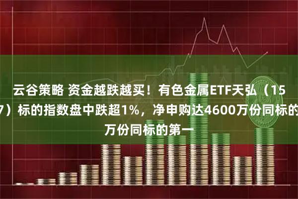 云谷策略 资金越跌越买！有色金属ETF天弘（159157）标的指数盘中跌超1%，净申购达4600万份同标的第一