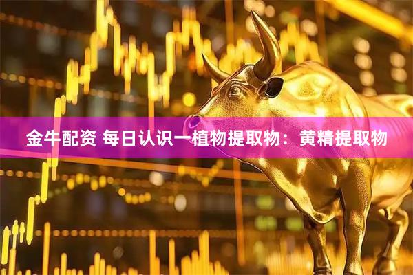金牛配资 每日认识一植物提取物：黄精提取物