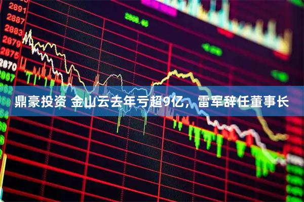 鼎豪投资 金山云去年亏超9亿，雷军辞任董事长