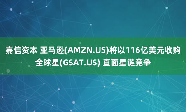 嘉信资本 亚马逊(AMZN.US)将以116亿美元收购全球星(GSAT.US) 直面星链竞争