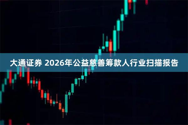 大通证券 2026年公益慈善筹款人行业扫描报告