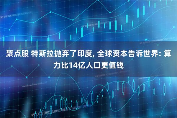 聚点股 特斯拉抛弃了印度, 全球资本告诉世界: 算力比14亿人口更值钱
