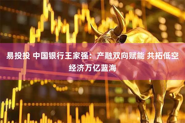 易投投 中国银行王家强:产融双向赋能 共拓低空经济万亿蓝海