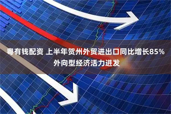 粤有钱配资 上半年贺州外贸进出口同比增长85% 外向型经济活力迸发