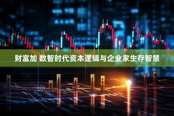 财富加 数智时代资本逻辑与企业家生存智慧